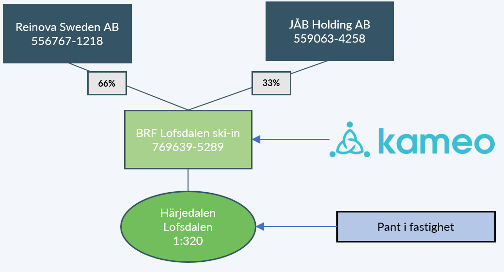 orgstruktur new