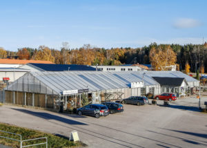 Dragetgruppen kameo Dragetgruppen kameo